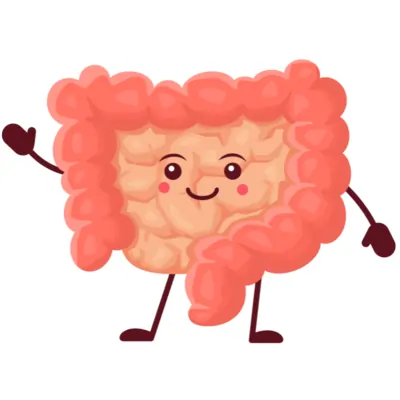 Healthy gut books