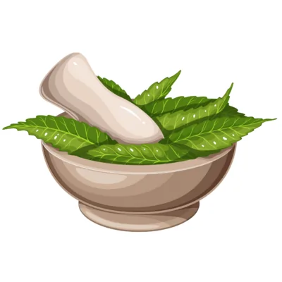 Naturopathy books