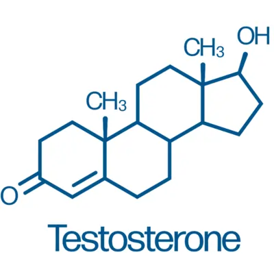 Men's hormonal health books